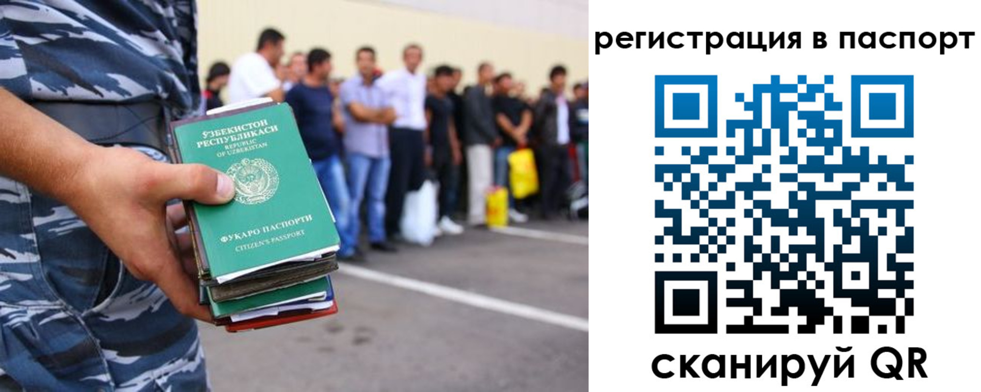 временная прописка в Сольцах
